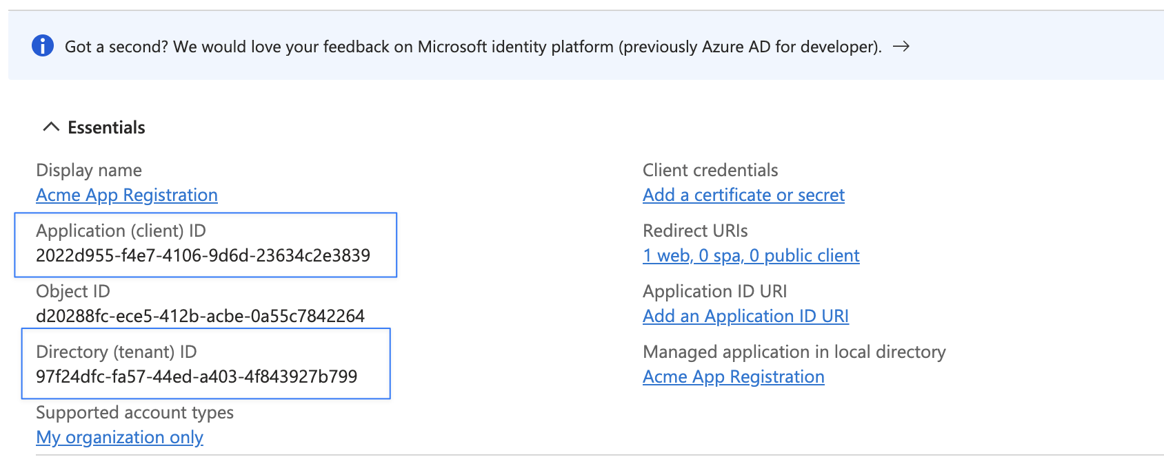Azure App Registration overview page showing Application ID and Directory ID